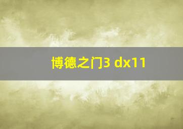 博德之门3 dx11